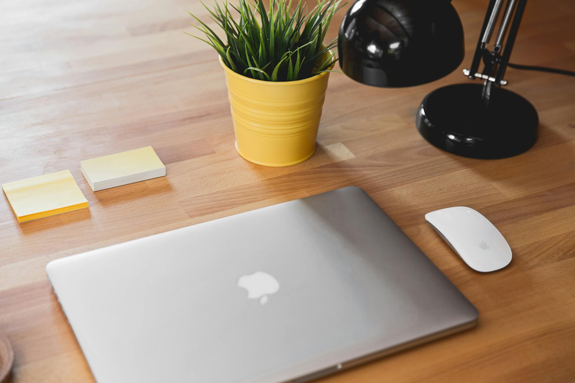How Small Business Teams Are Using Apple Devices to Work More Efficiently in 2026
